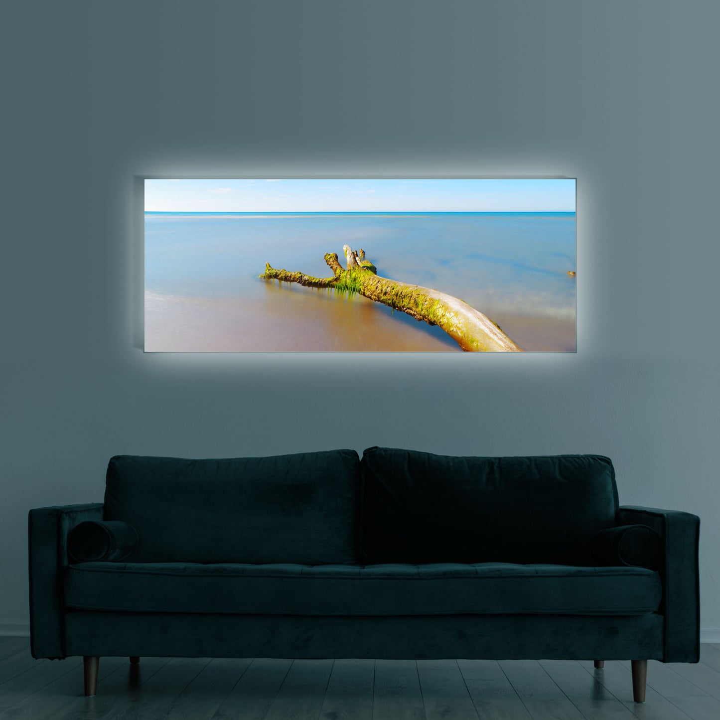 Ast im Meer am Ostsee Strand | Wandbild Deutschland