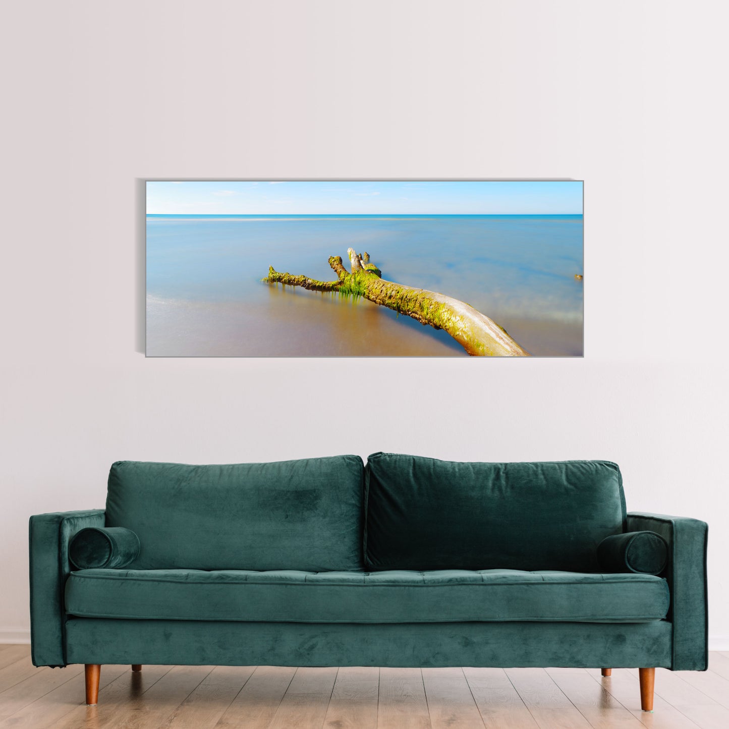 Ast im Meer am Ostsee Strand | Wandbild Deutschland