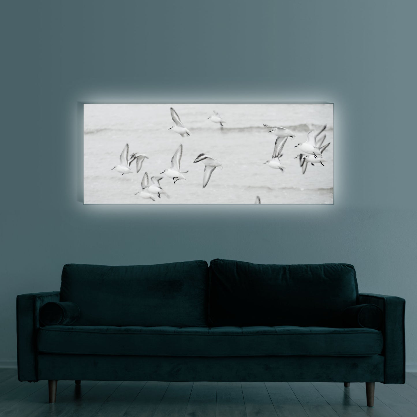 Strandläufer an der Nordsee | Wandbild Tiere