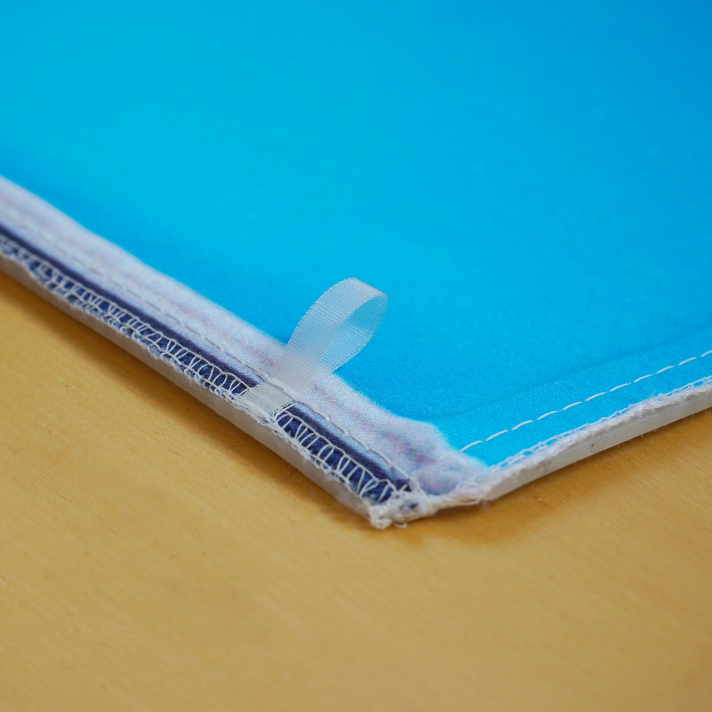 Kleiner Sprössling im Moos | Pflanzen Wandbild