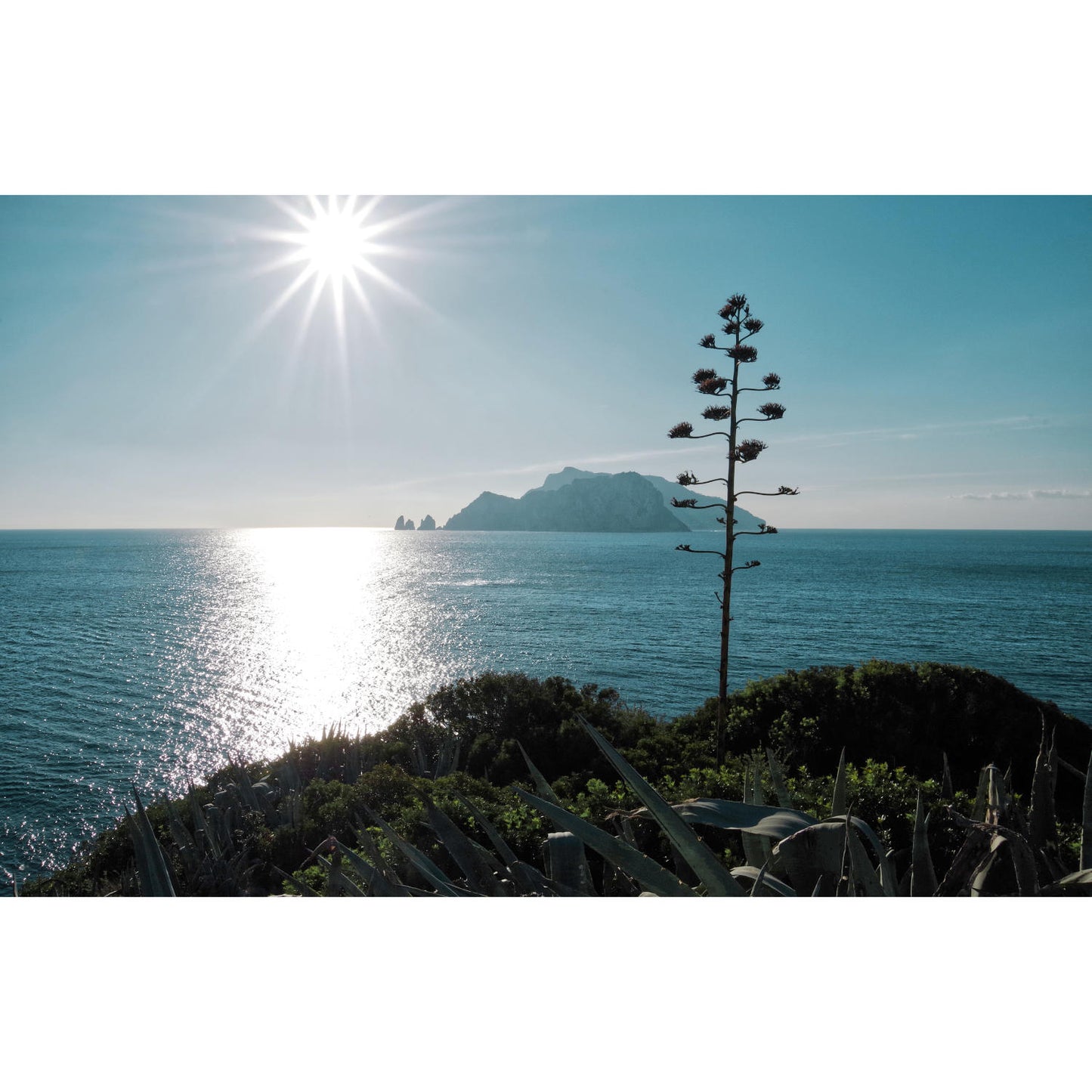 Blick zur Insel Capri | Italien