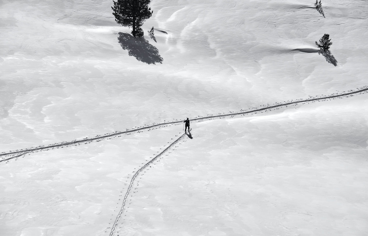 Einsamer Skilangläufer im Schnee  Österreich