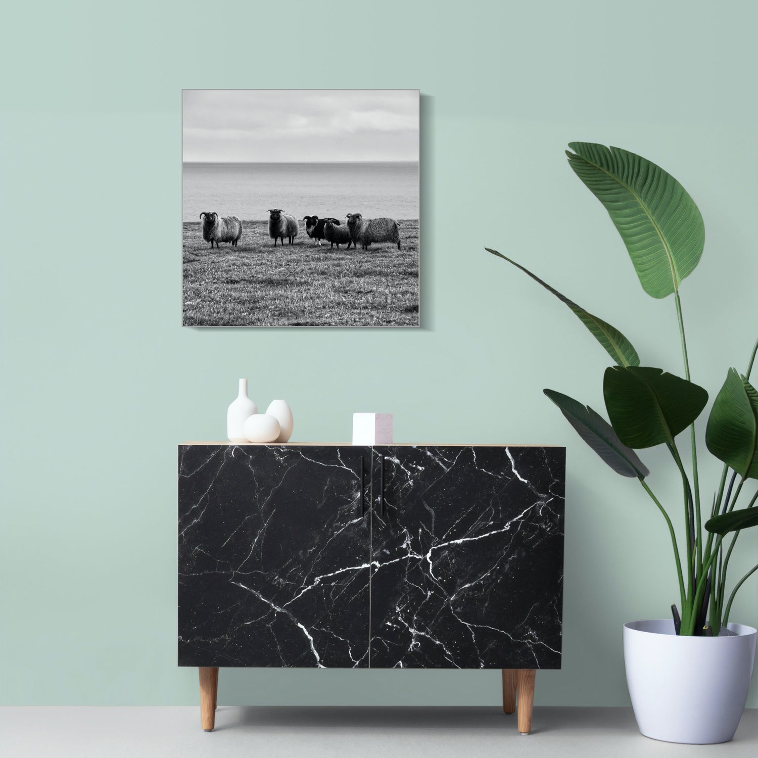 Schaffamilie in Island | Wandbild Tiere