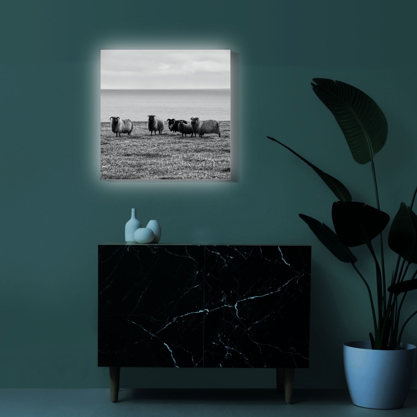 Schaffamilie in Island | Wandbild Tiere