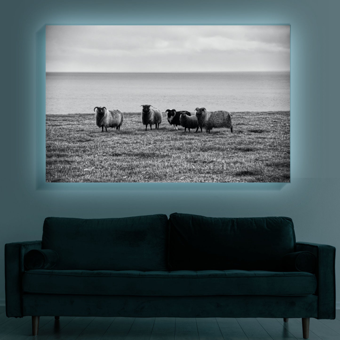 Schaffamilie in Island | Wandbild Tiere