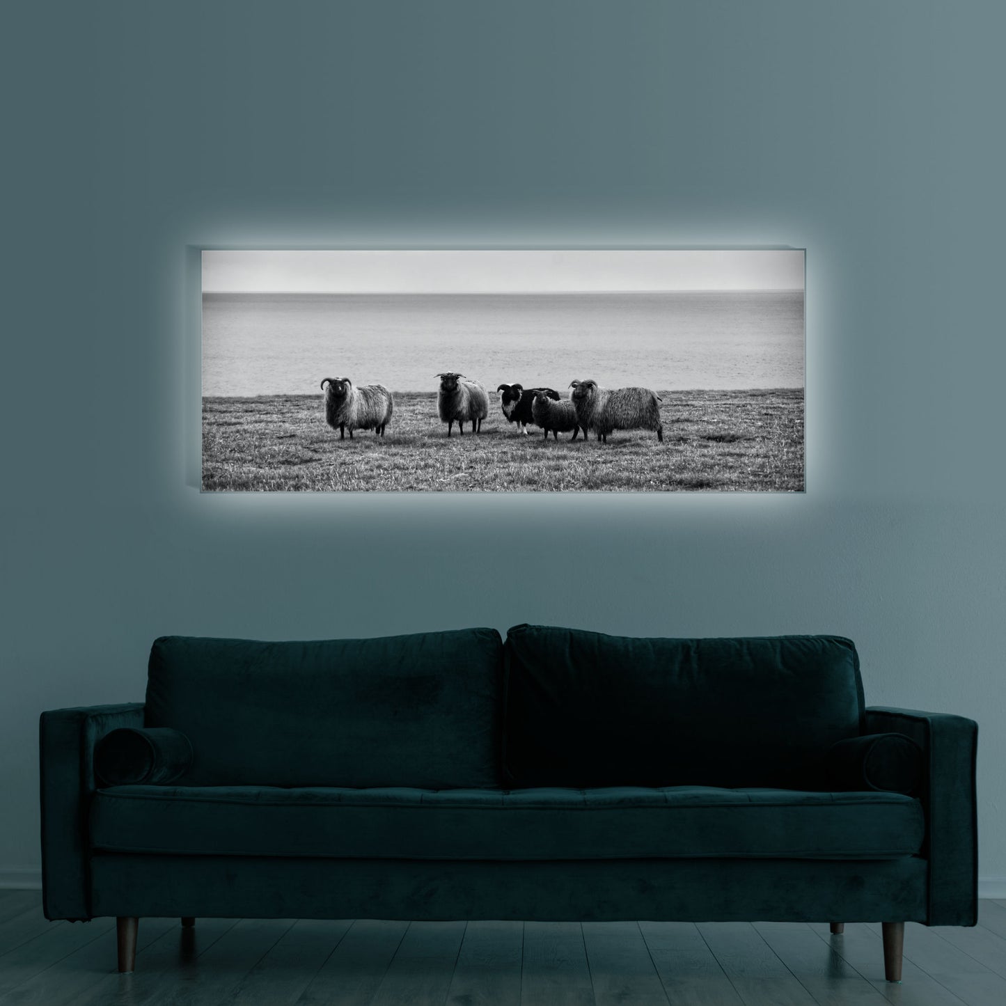 Schaffamilie in Island | Wandbild Tiere