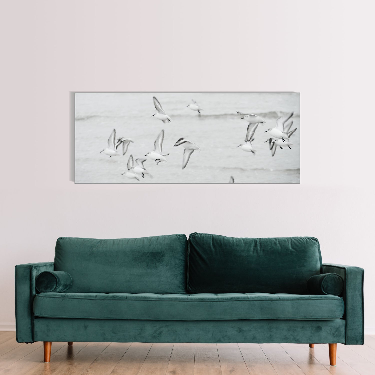 Strandläufer an der Nordsee | Wandbild Tiere