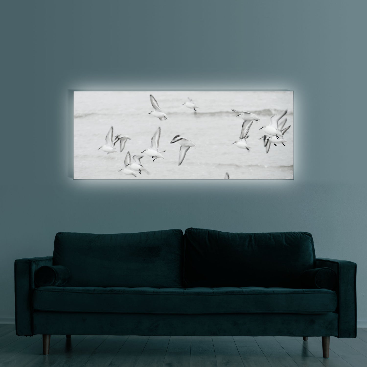 Strandläufer an der Nordsee | Wandbild Tiere