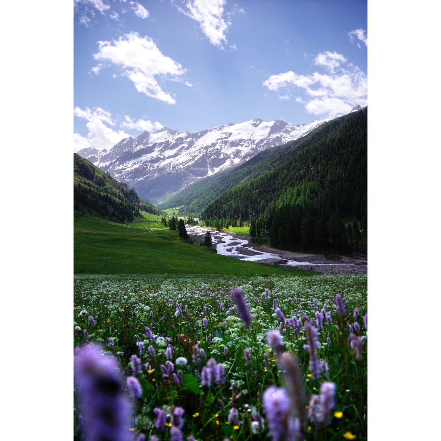Talgletscher in Südtirol | Alpen