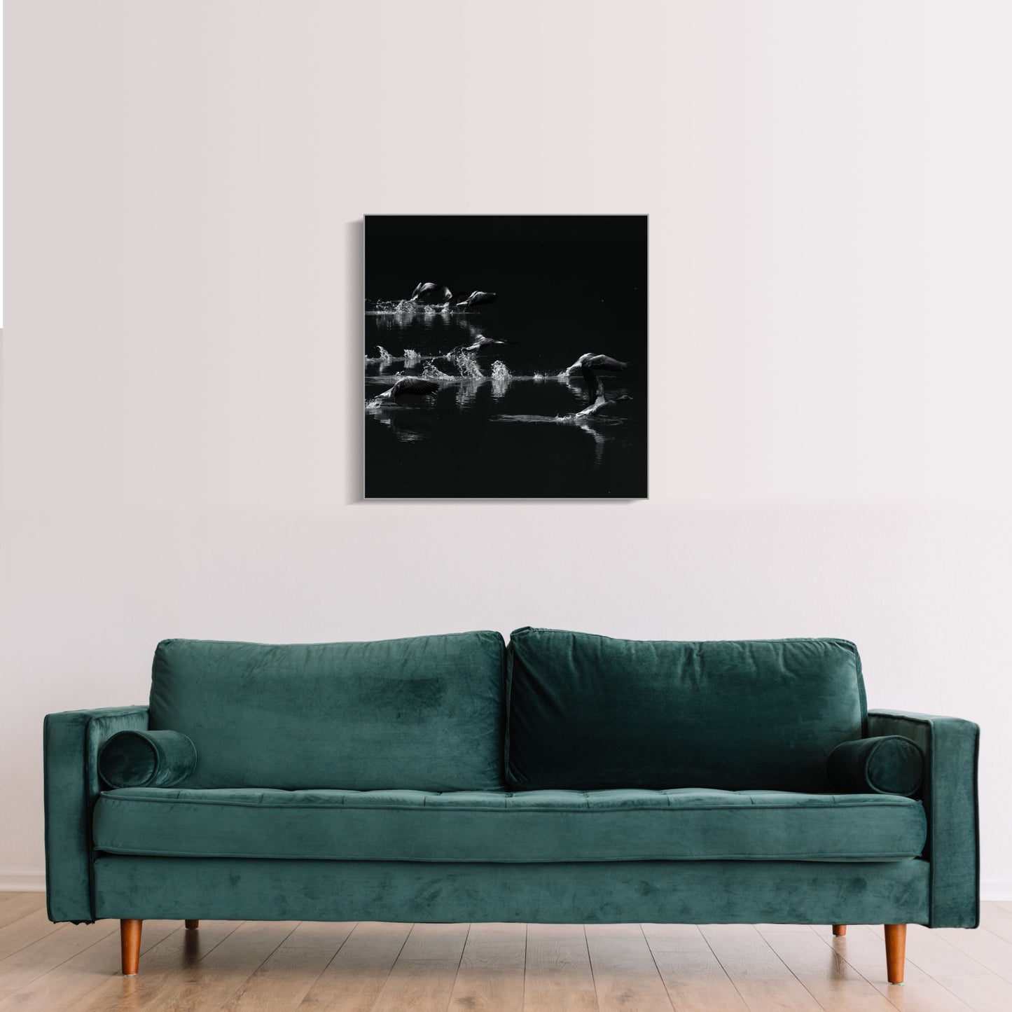 Startende Enten auf einem See Wandbild