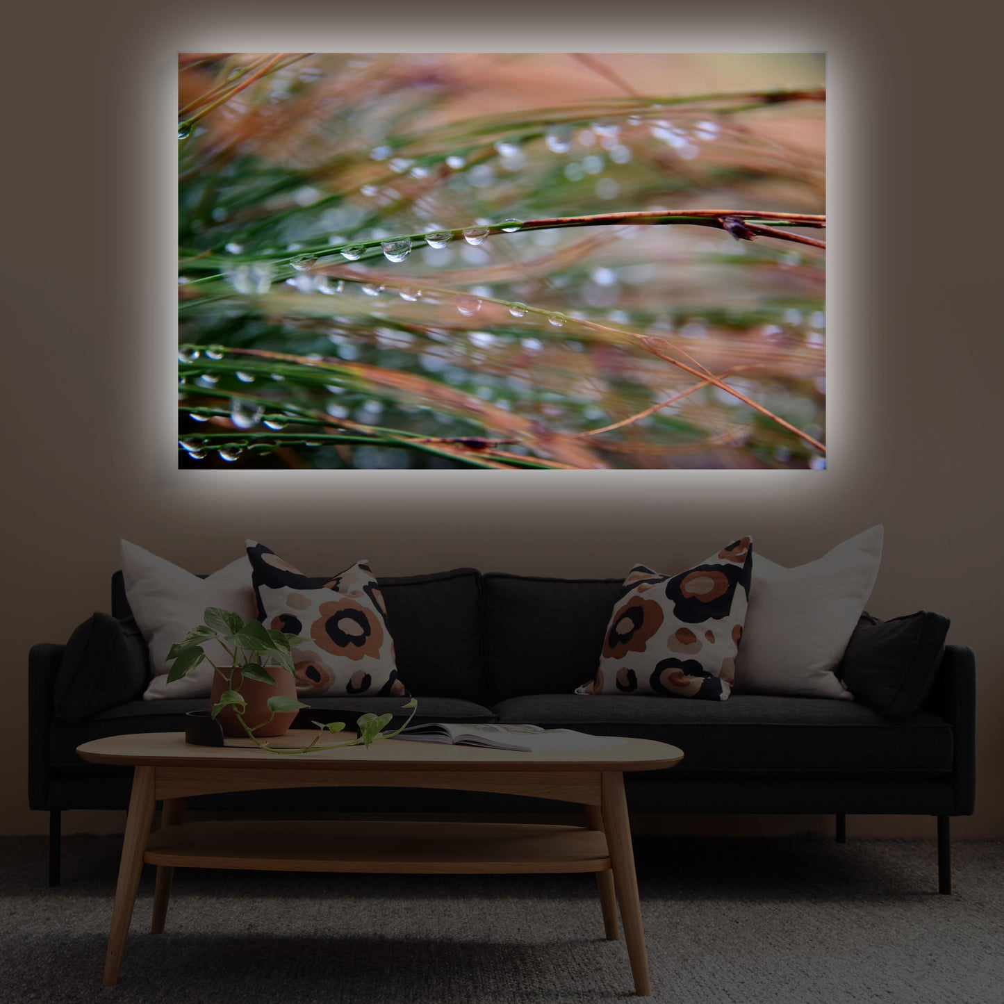 Wassertropfen an Grashalmen Makro | Pflanzen Wandbild