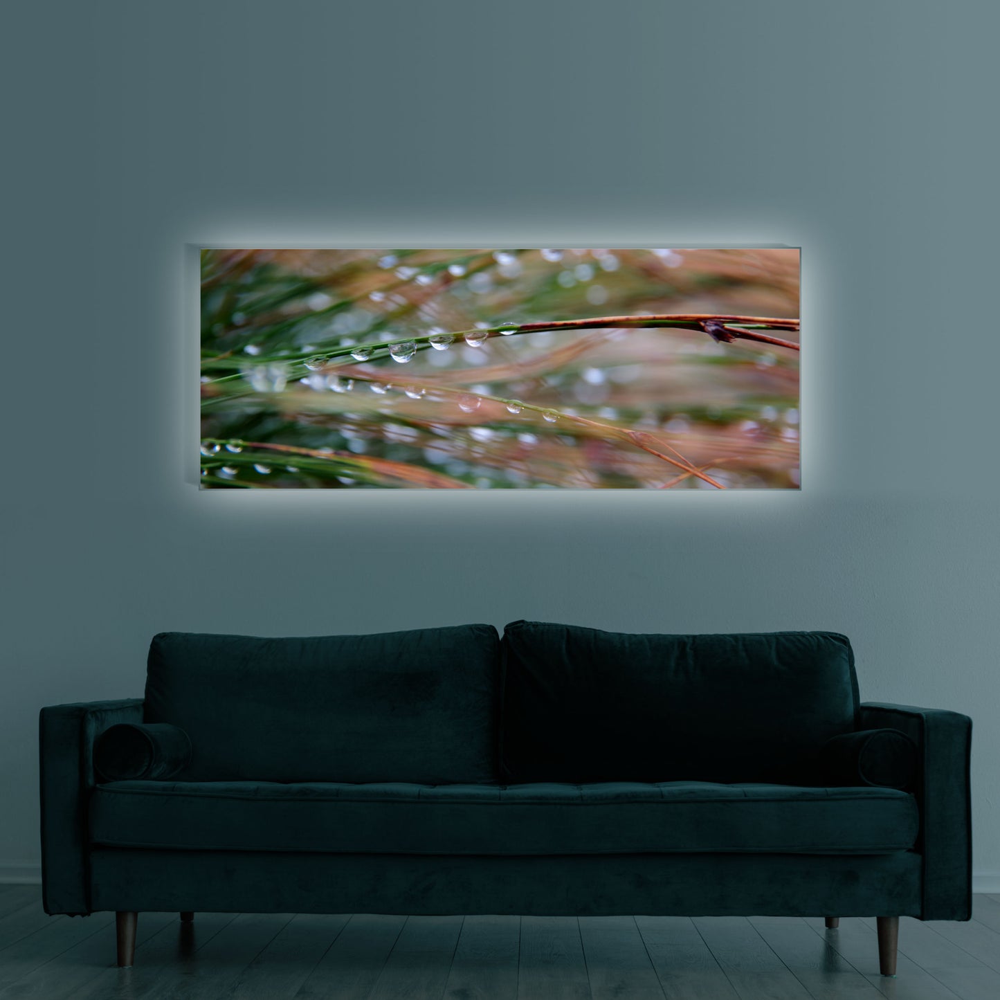 Wassertropfen an Grashalmen Makro | Pflanzen Wandbild
