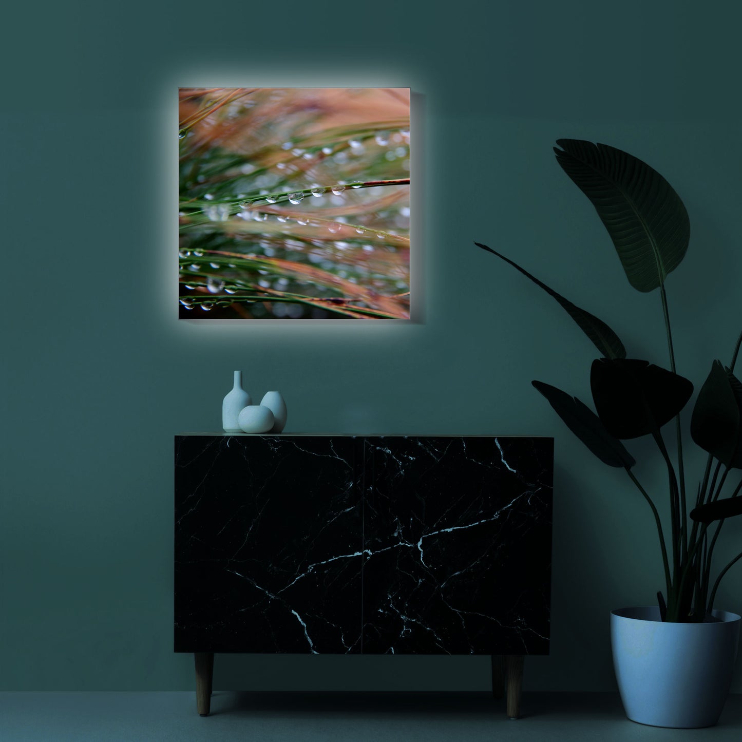 Wassertropfen an Grashalmen Makro | Pflanzen Wandbild
