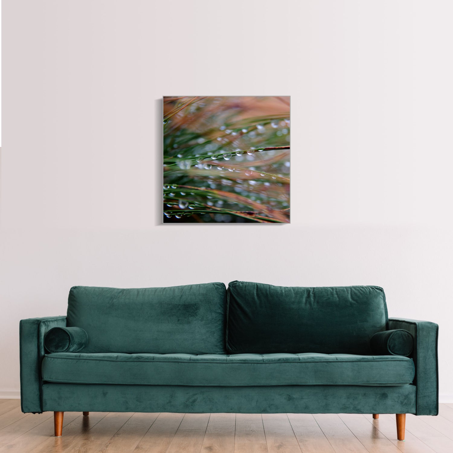 Wassertropfen an Grashalmen Makro | Pflanzen Wandbild